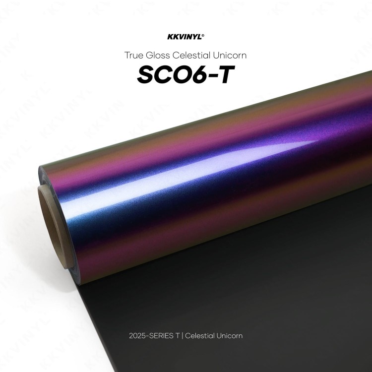 SCO6-T.jpg